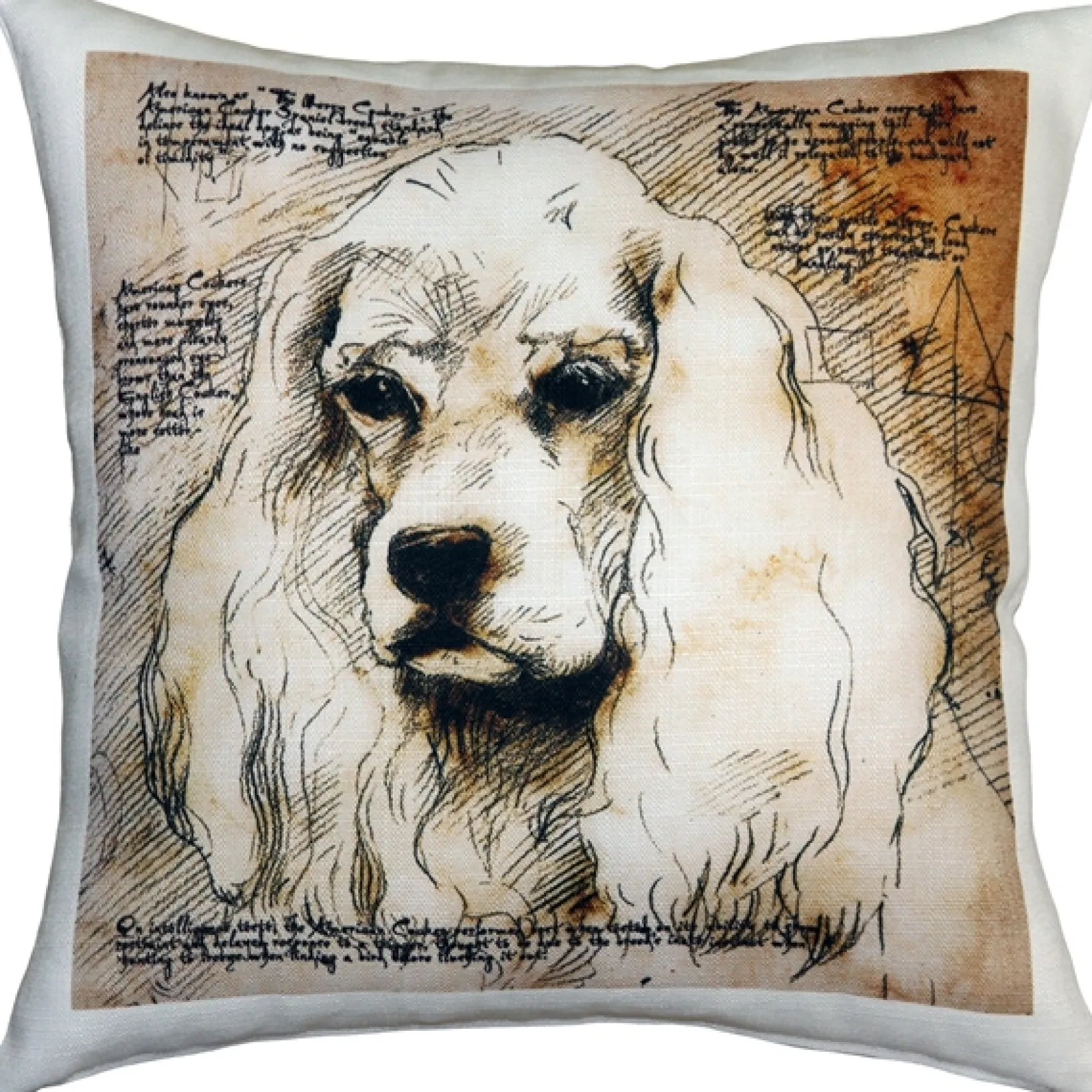 American Cocker Spaniel 17x17 Dog Pillow