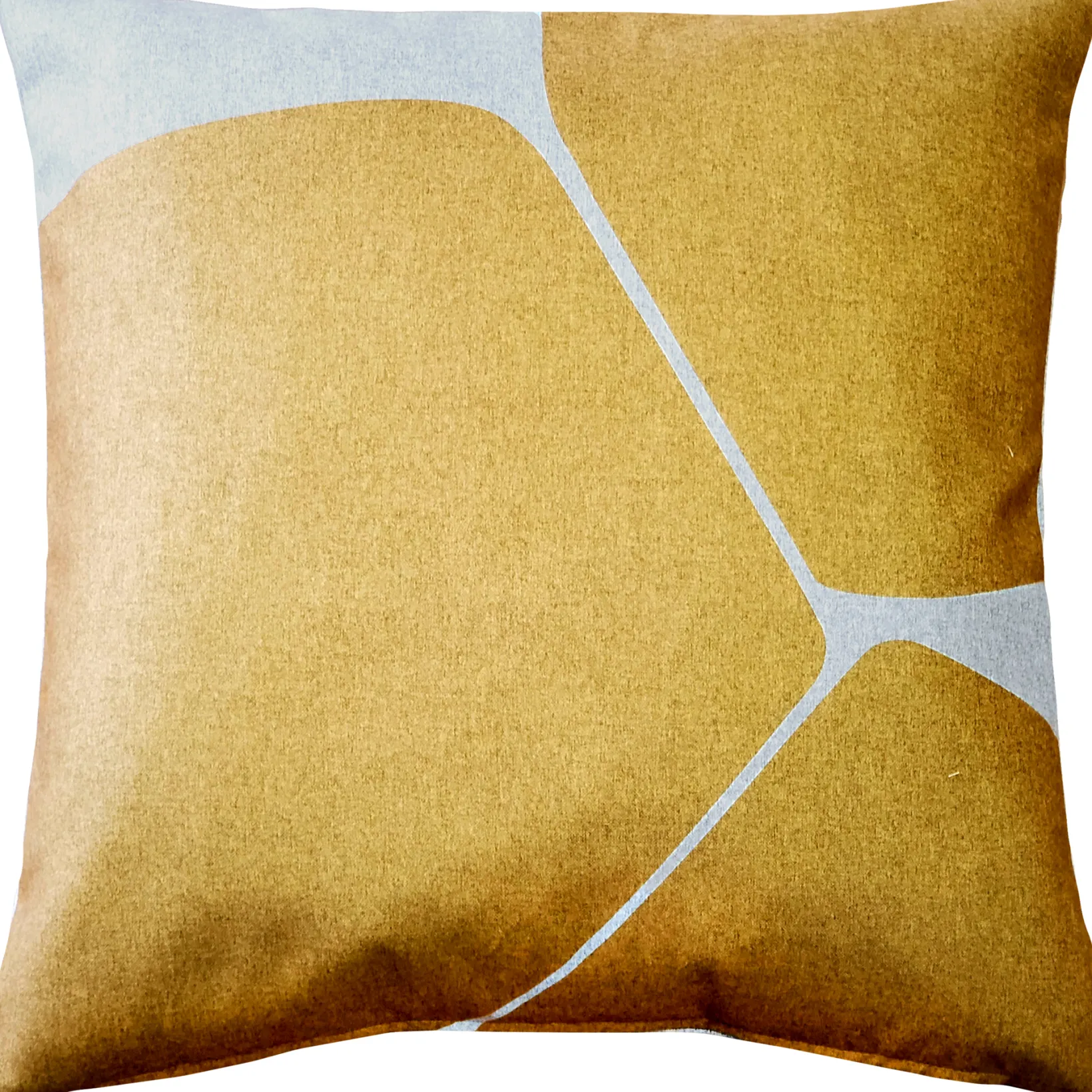 Aurora Renaissance Gold Throw Pillow 19x19