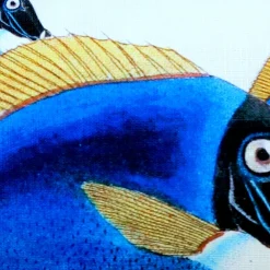 Blue Surgeonfish Fish Pillow 12x19