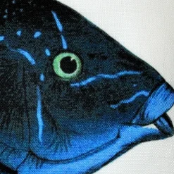 Blue Wrasse Fish Pillow 12x19