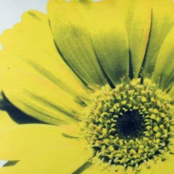 Bold Daisy Flower Yellow Throw Pillow 19x19
