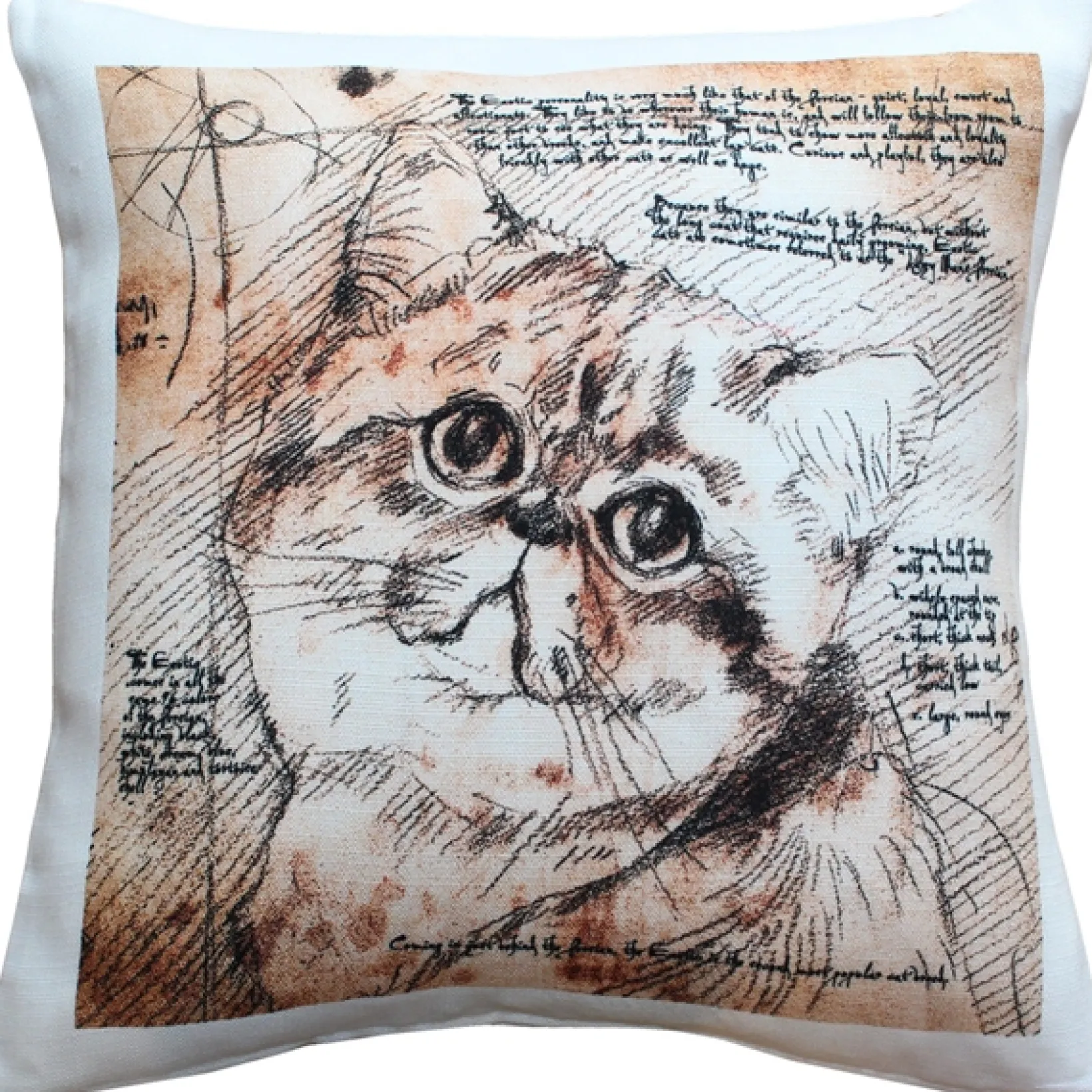 Exotic Cat 17x17 Throw Pillow