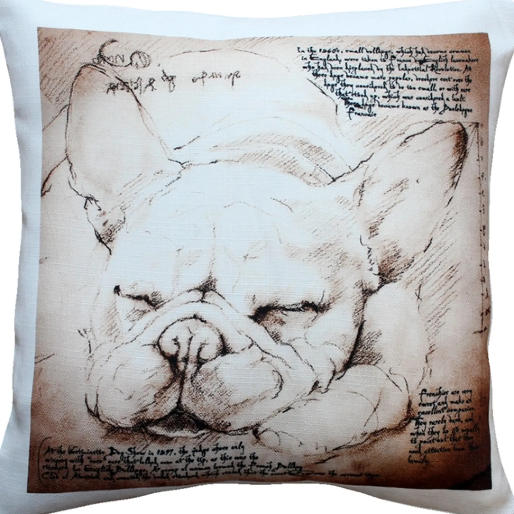 French Bulldog 17x17 Dog Pillow