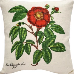Garden Rose 20x20 Throw Pillow
