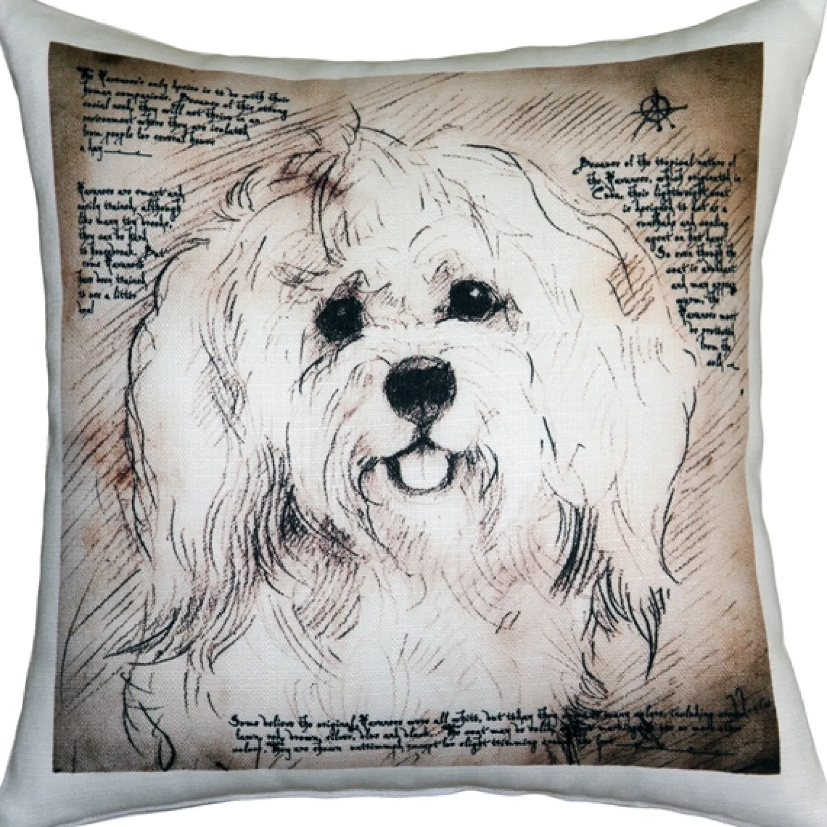 Havanese 17x17 Dog Pillow