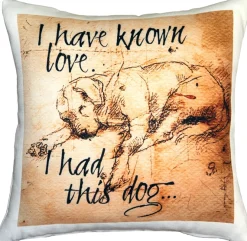I have Known Love Sleeping Lab 17x17 Dog Pillow
