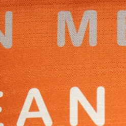 Lean On Me Orange Throw Pillow 17x17