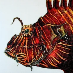 Lionfish Fish Pillow 12x19