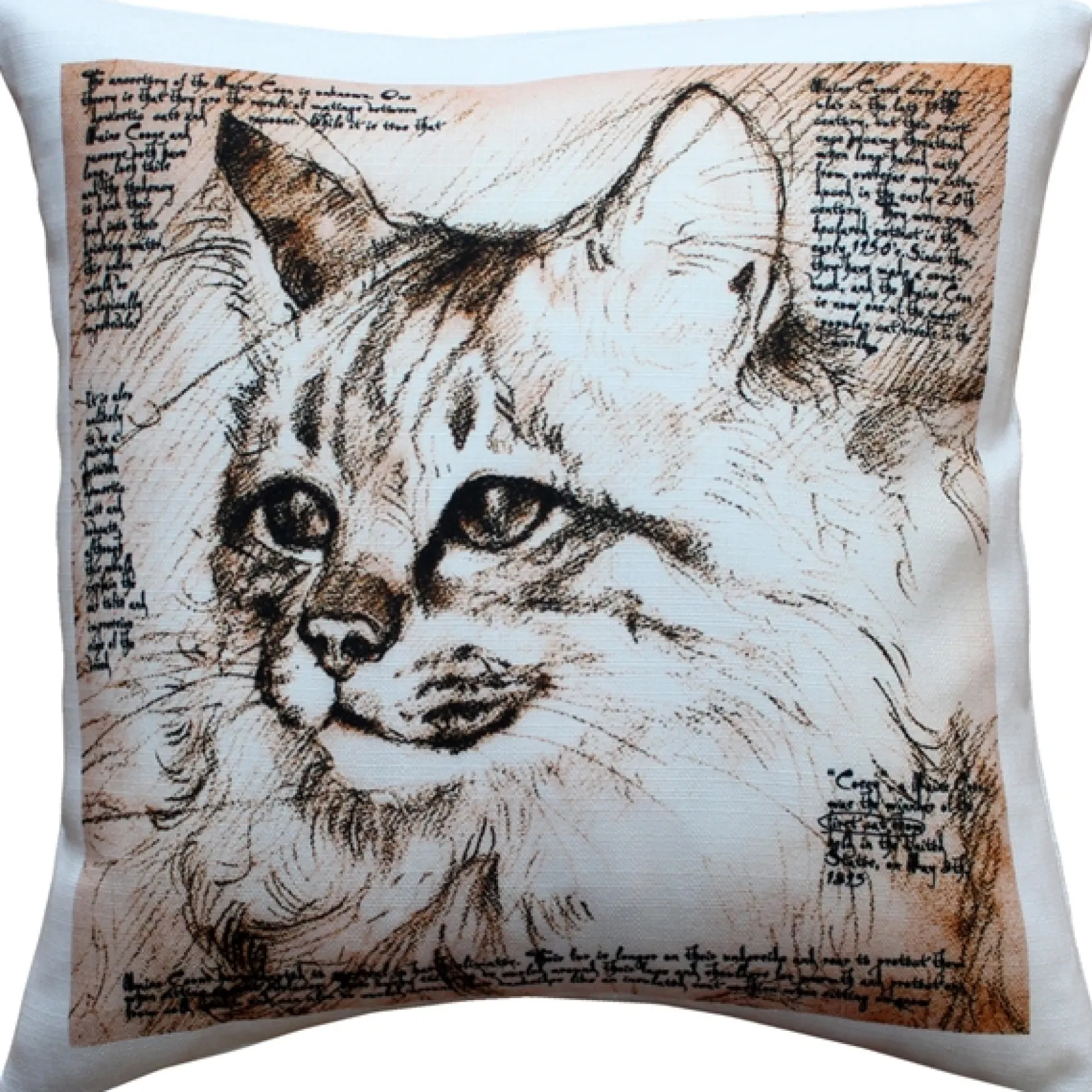 Maine Coon 17x17 Cat Pillow