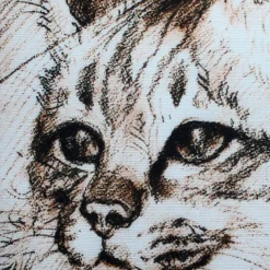 Maine Coon 17x17 Cat Pillow