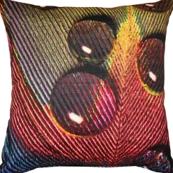 Peacock Splash YPB Throw Pillow 20x20