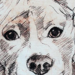 Pit Bull 17x17 Dog Pillow