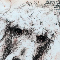 Poodle 17x17 Dog Pillow