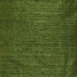 Sankara Avocado Green Silk Throw Pillow 16x16