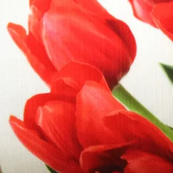 Spring Tulips Throw Pillow 12x19