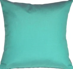 Sunbrella Aruba Turquoise Blue 20x20 Outdoor Pillow
