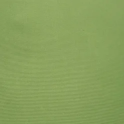 Sunbrella Ginko Green Outdoor Pillow 20x20
