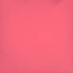 Sunbrella Hot Pink 20x20 Outdoor Pillow