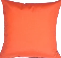 Sunbrella Melon 20x20 Outdoor Pillow
