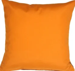 Sunbrella Tangerine Orange 20x20 Outdoor Pillow