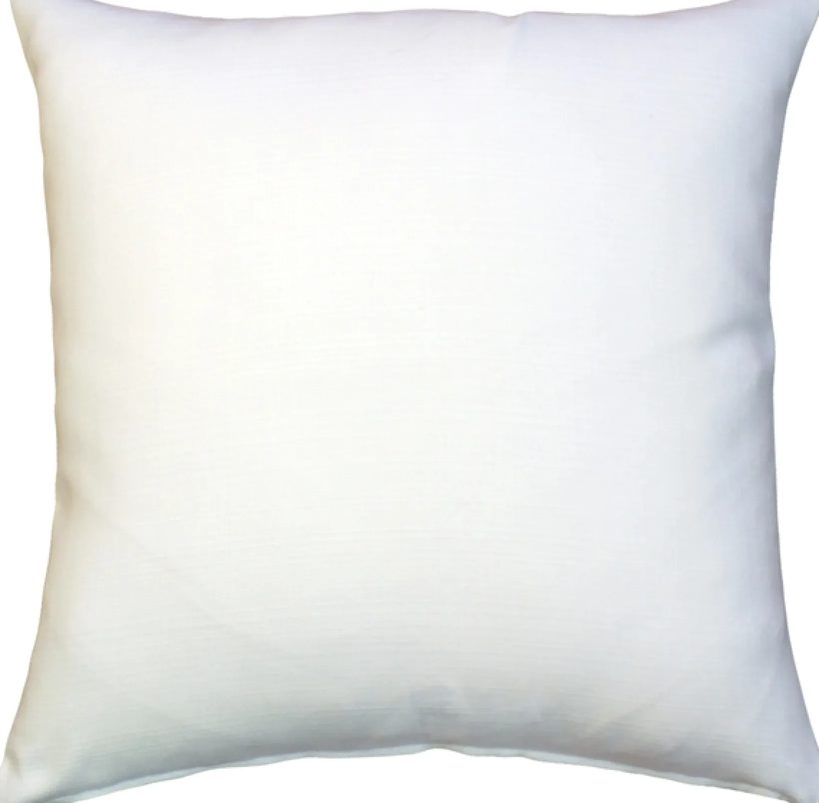 Woodward's Records and Music Throw Pillow